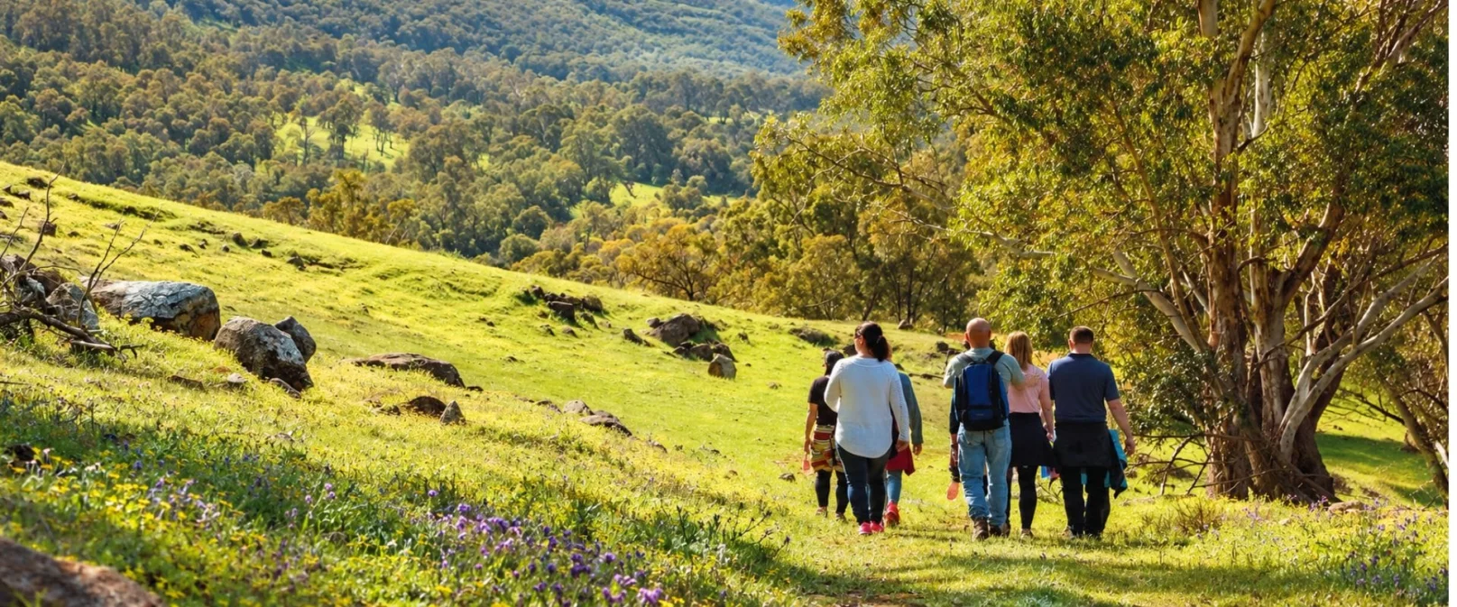 Small group walking together across a green hillside